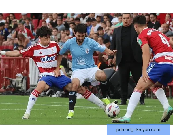 西甲赫罗纳点球英雄表现稳健，助球队在关键时刻迎来胜利