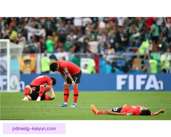 韩国国家队球迷太极虎表现稳健，助力球队提升士气